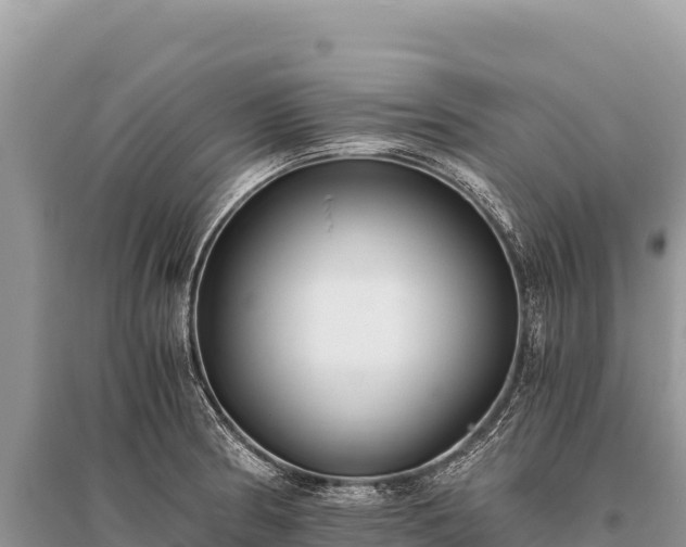 X0000096181186200801251208