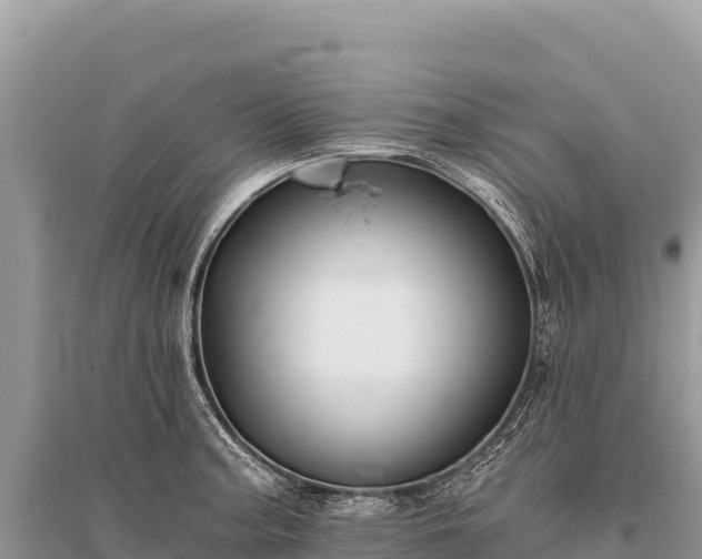 X0000096181187200801251208
