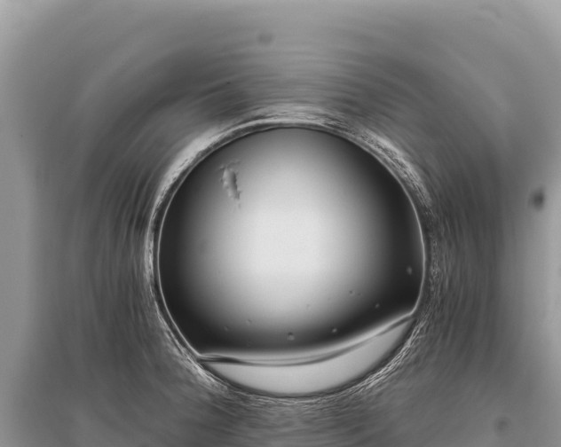 X0000096181188200801251208