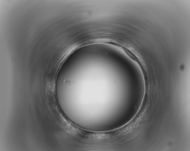 X0000096181193200801251208