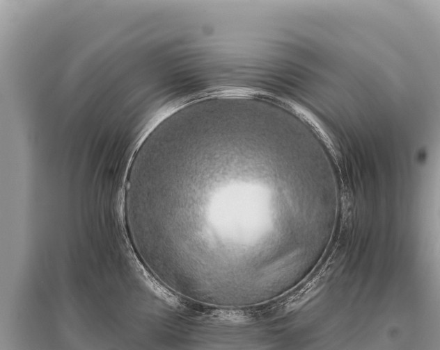 X0000096181194200801251208