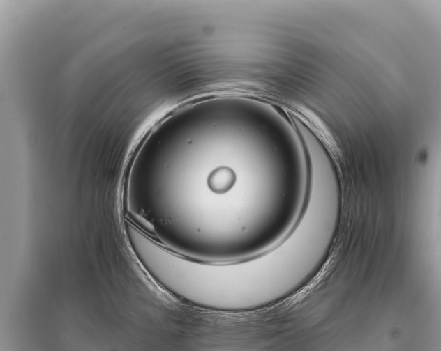 X0000096181196200801251208