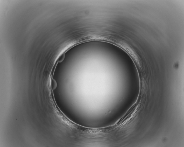 X0000096181198200801251208