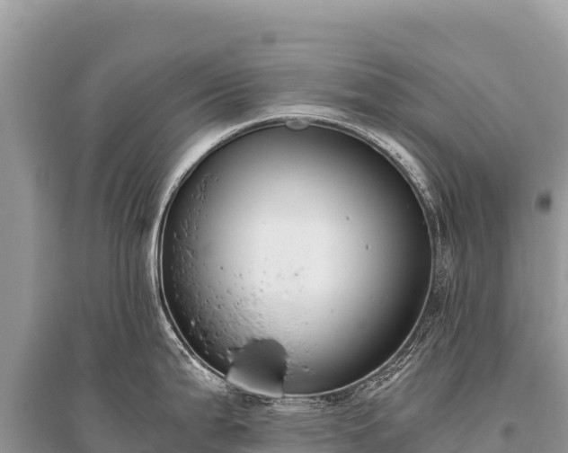 X0000096181199200801251208