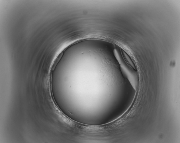 X0000096181200200801251208