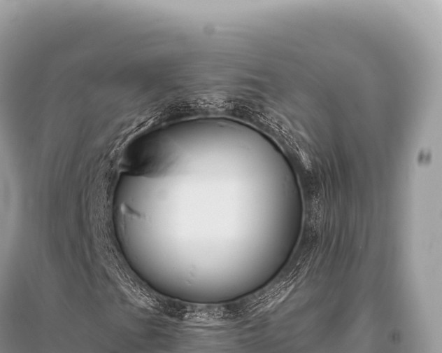 X0000096181201200801251207