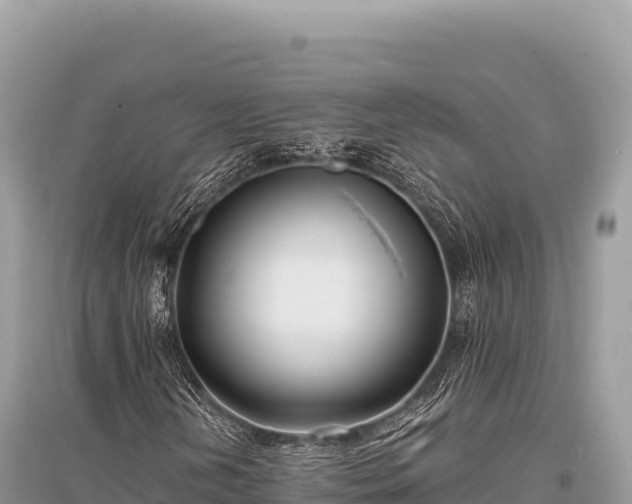 X0000096181202200801251207