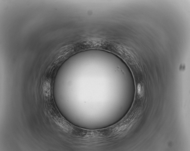 X0000096181203200801251207