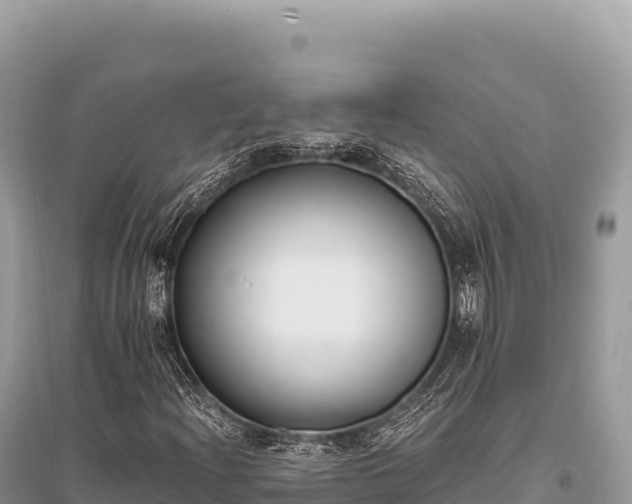 X0000096181204200801251207