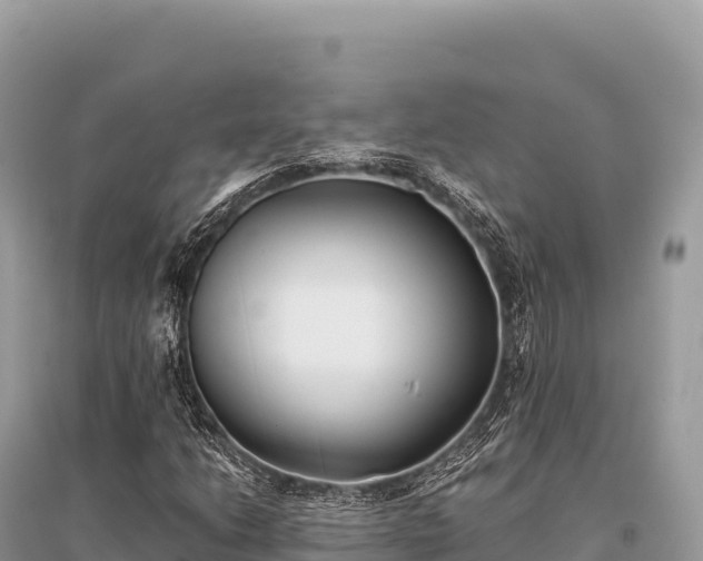 X0000096181206200801251208