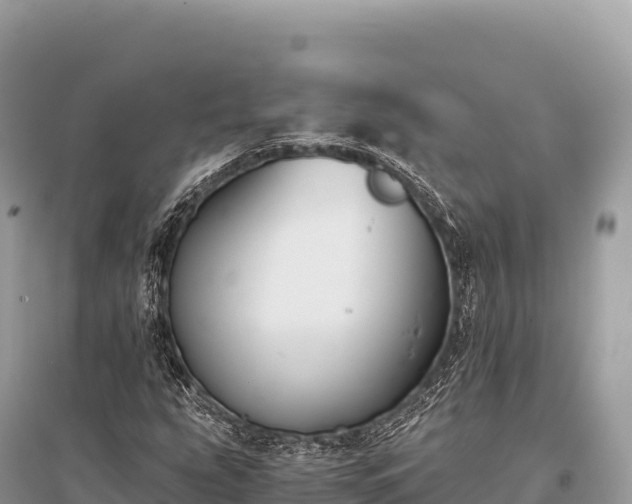 X0000096181207200801251208