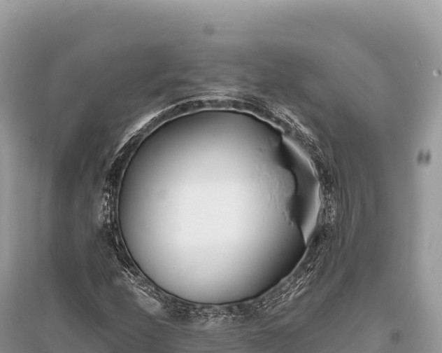 X0000096181208200801251208