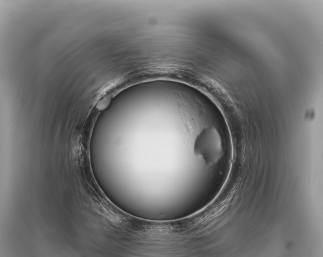 X0000096181210200801251208