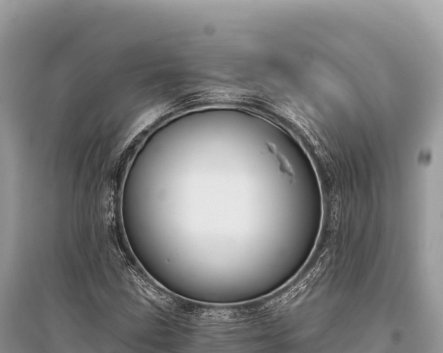 X0000096181211200801251208