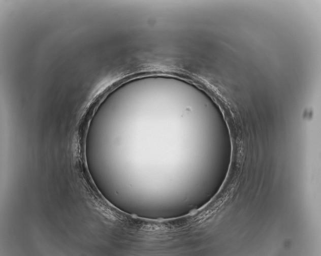 X0000096181215200801251208