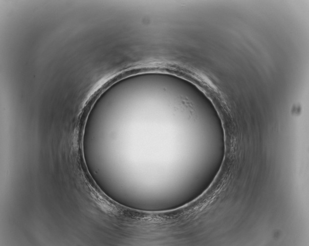 X0000096181216200801251208