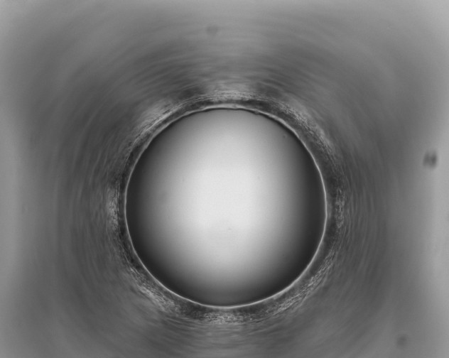 X0000096181217200801251208