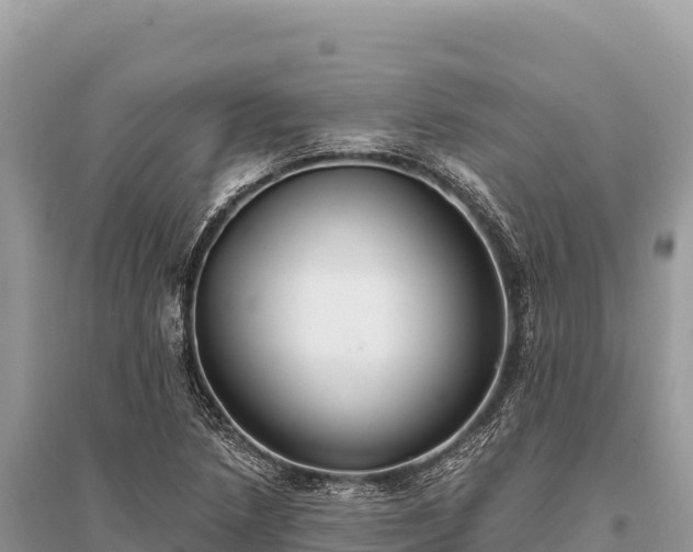 X0000096181218200801251208