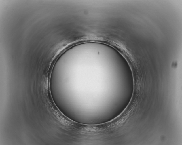 X0000096181220200801251208