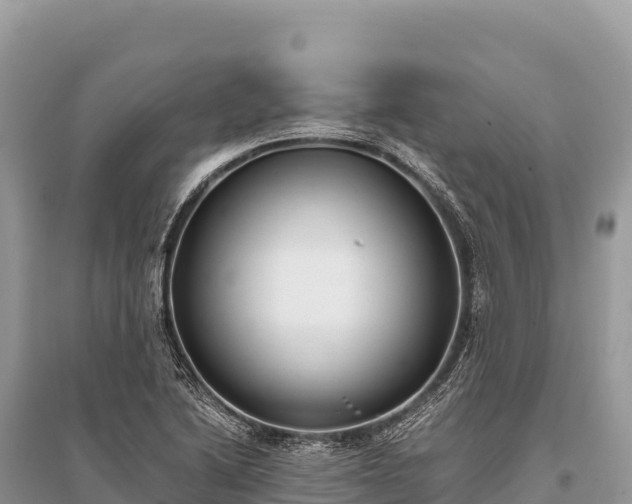 X0000096181222200801251208