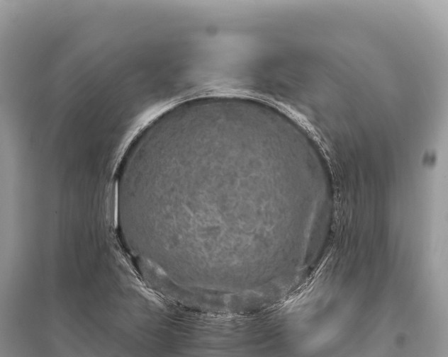 X0000096181223200801251208