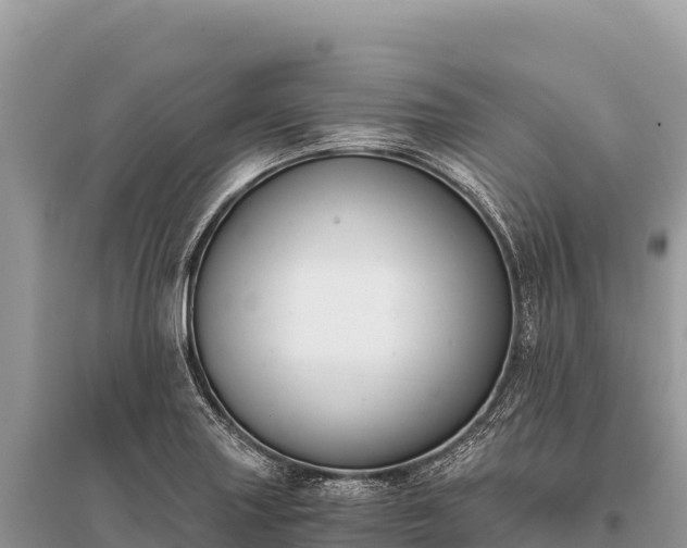X0000096181227200801251208