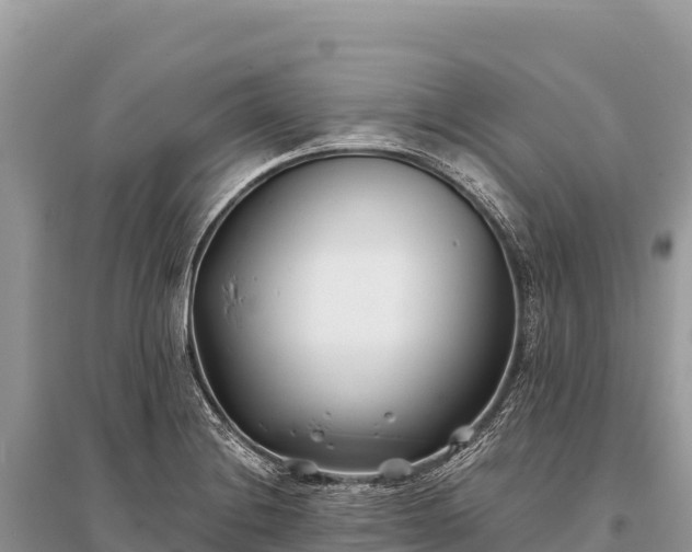 X0000096181228200801251208