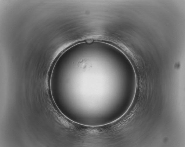 X0000096181230200801251208