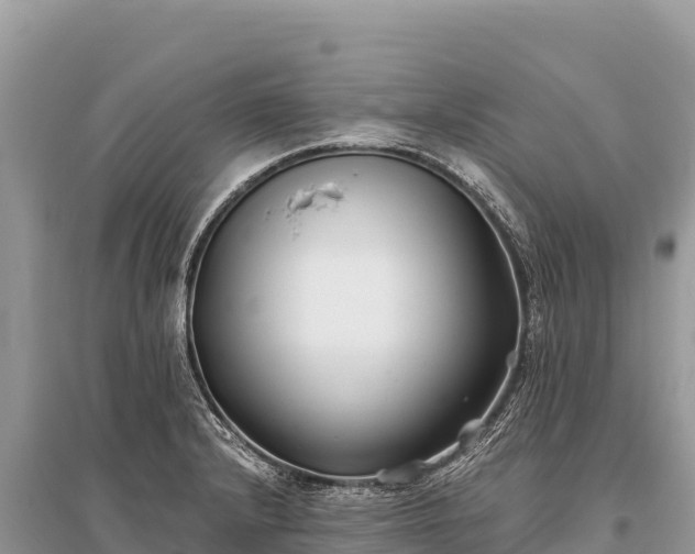 X0000096181232200801251208