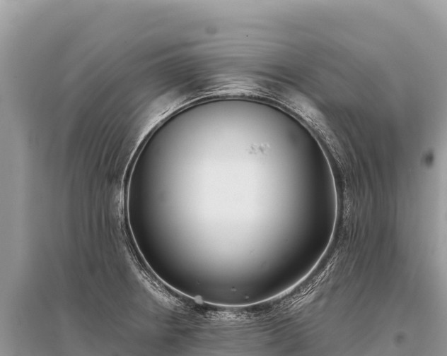 X0000096181234200801251208