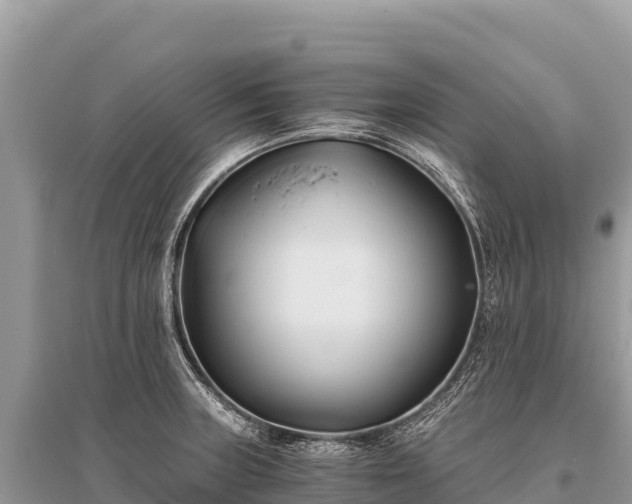 X0000096181235200801251208