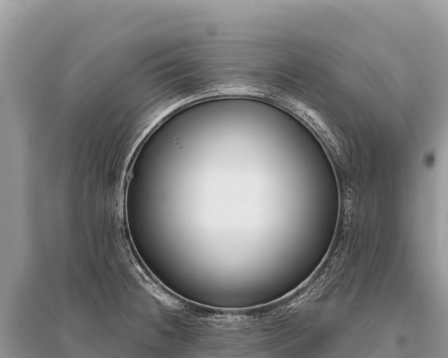 X0000096181236200801251208