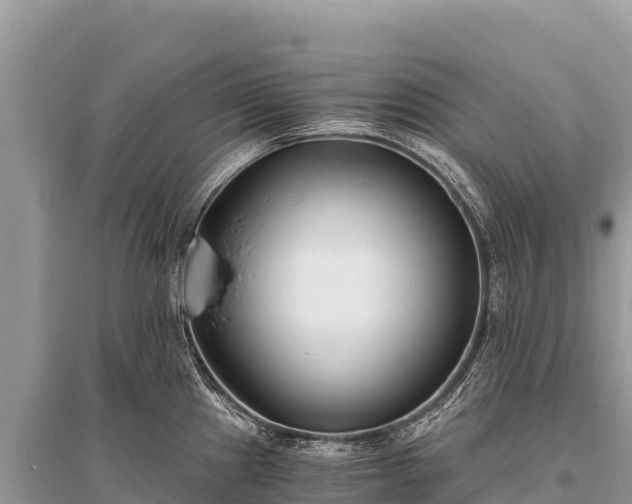 X0000096181241200801251208
