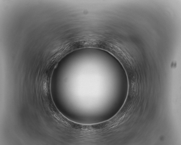 X0000096181250200801251207