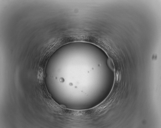 X0000096181251200801251207