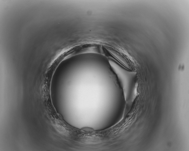 X0000096181256200801251207