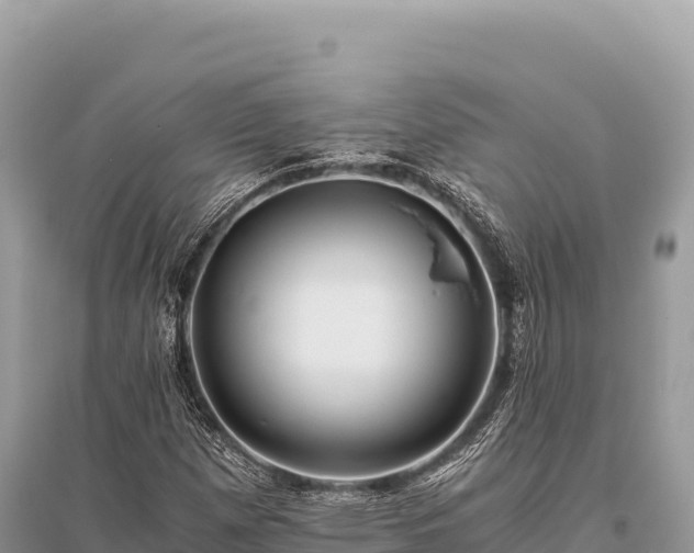 X0000096181257200801251207