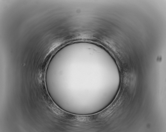 X0000096181258200801251207