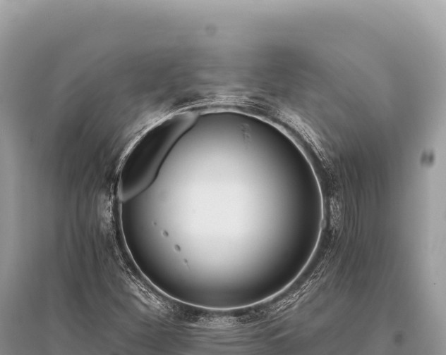 X0000096181260200801251207
