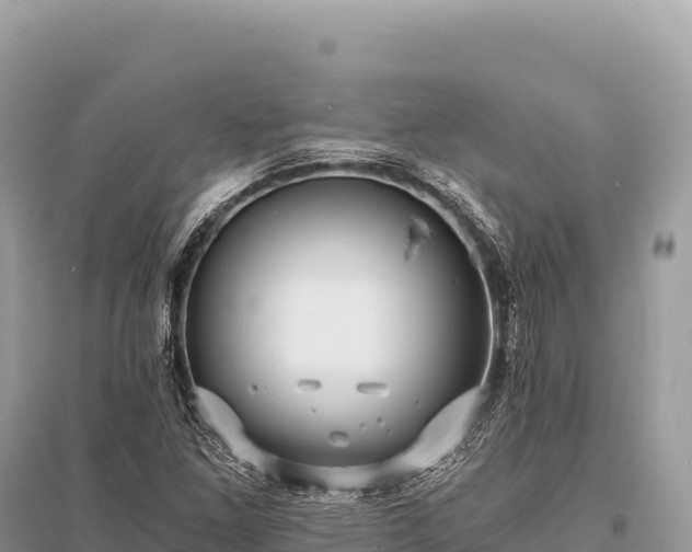 X0000096181261200801251207
