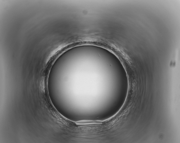 X0000096181262200801251207