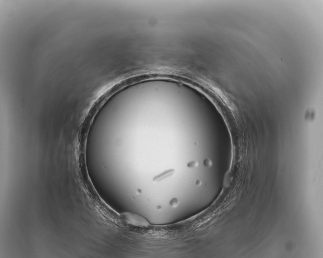 X0000096181264200801251207