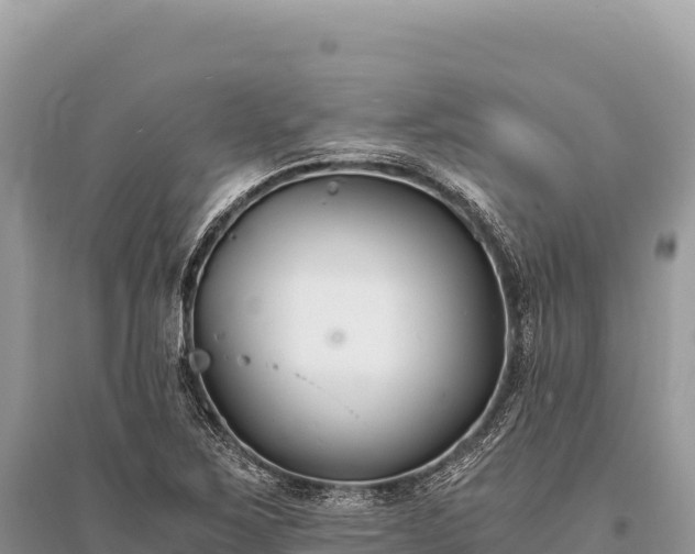 X0000096181267200801251207