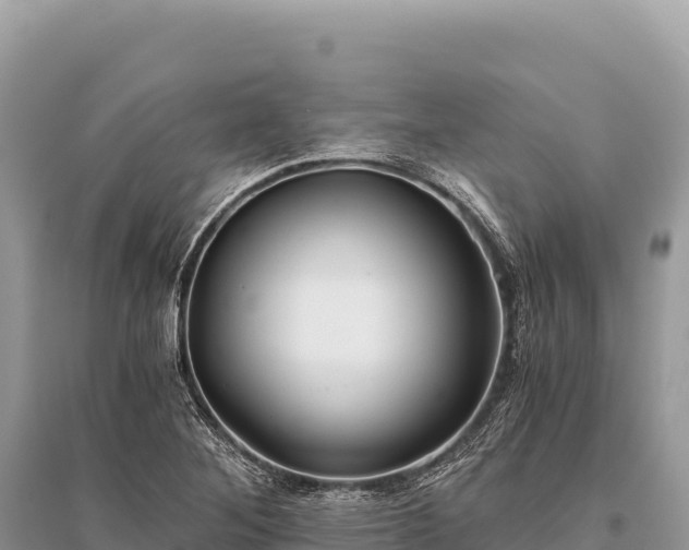 X0000096181268200801251207