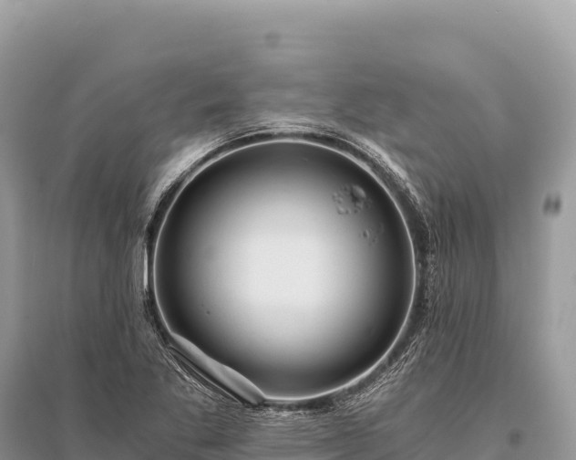 X0000096181269200801251207