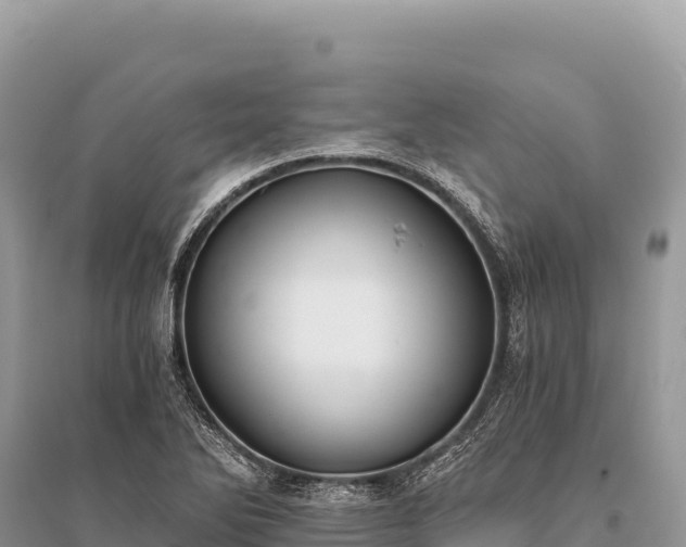 X0000096181270200801251207