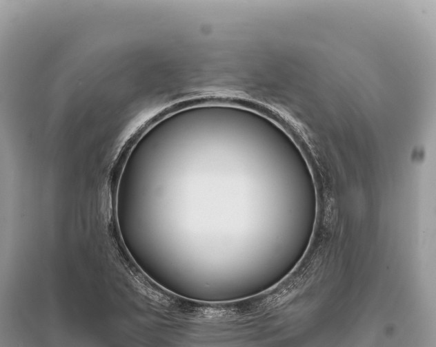 X0000096181271200801251207