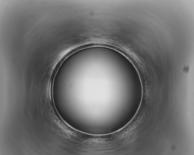 X0000096181272200801251207