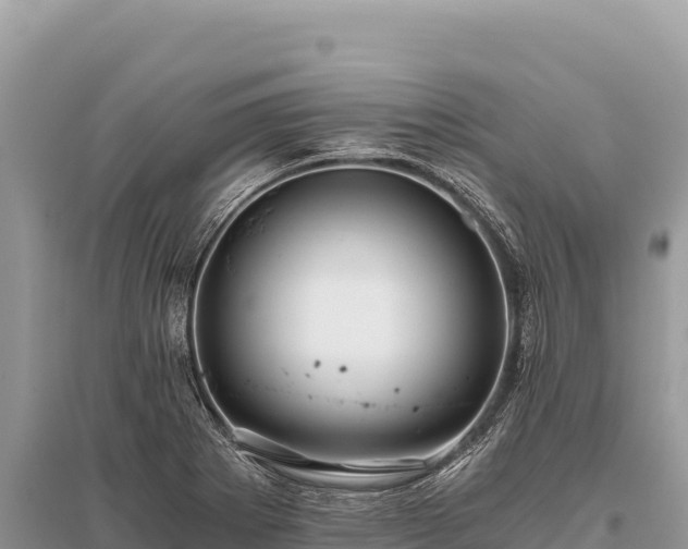 X0000096181273200801251207