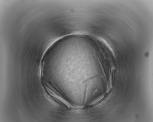 X0000096181276200801251207